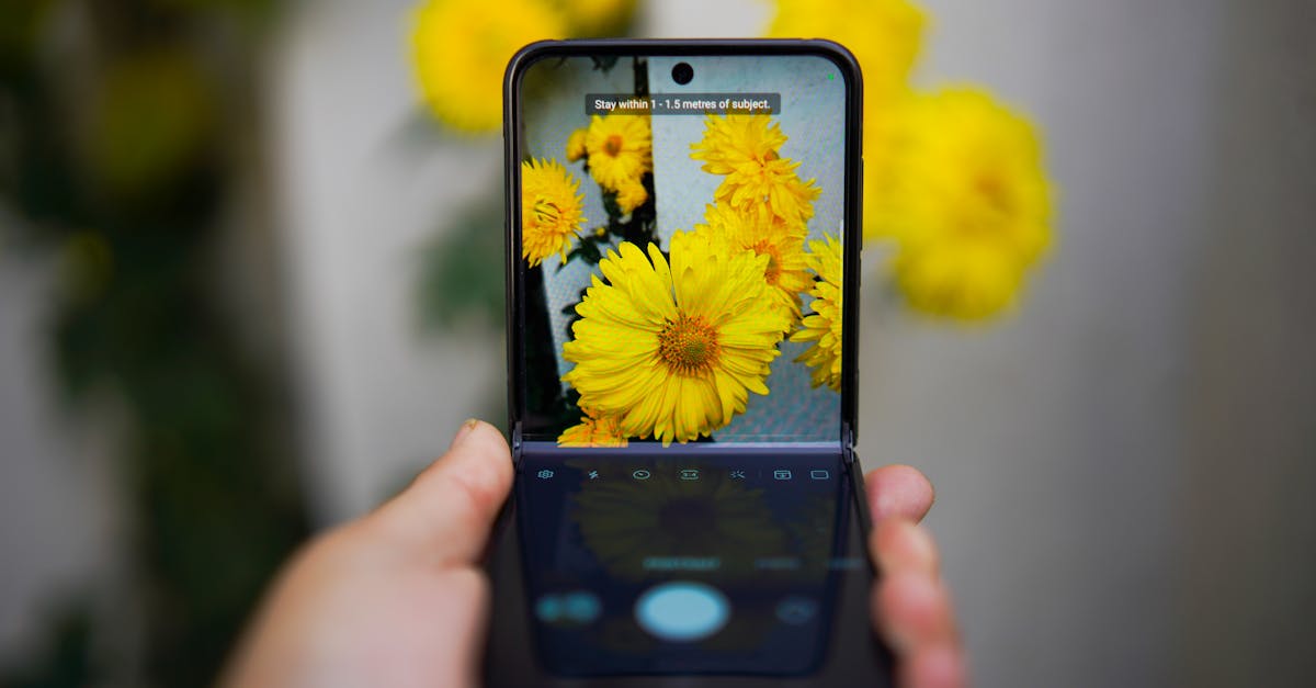Foldable Forecast: Motorola Expands as Google Holds Ground and