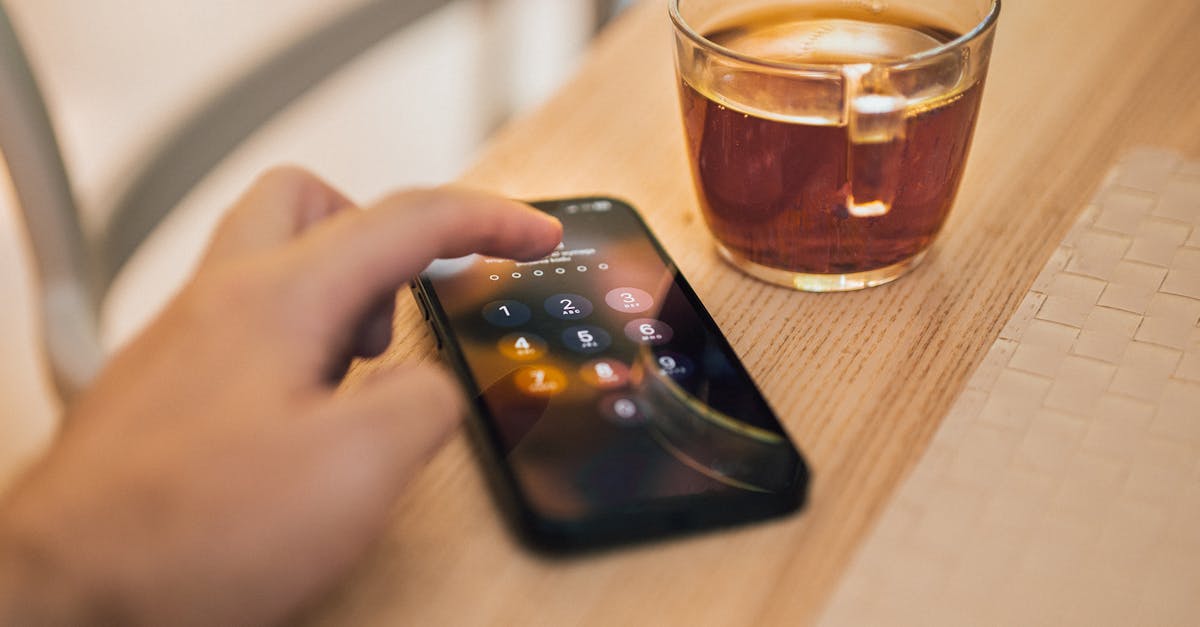Smartphone Security and Interoperability