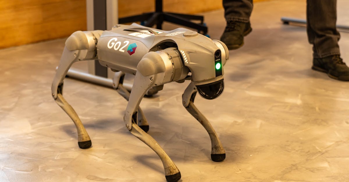 The AI Paradox: Innovation's March Meets a Crisis of Trust