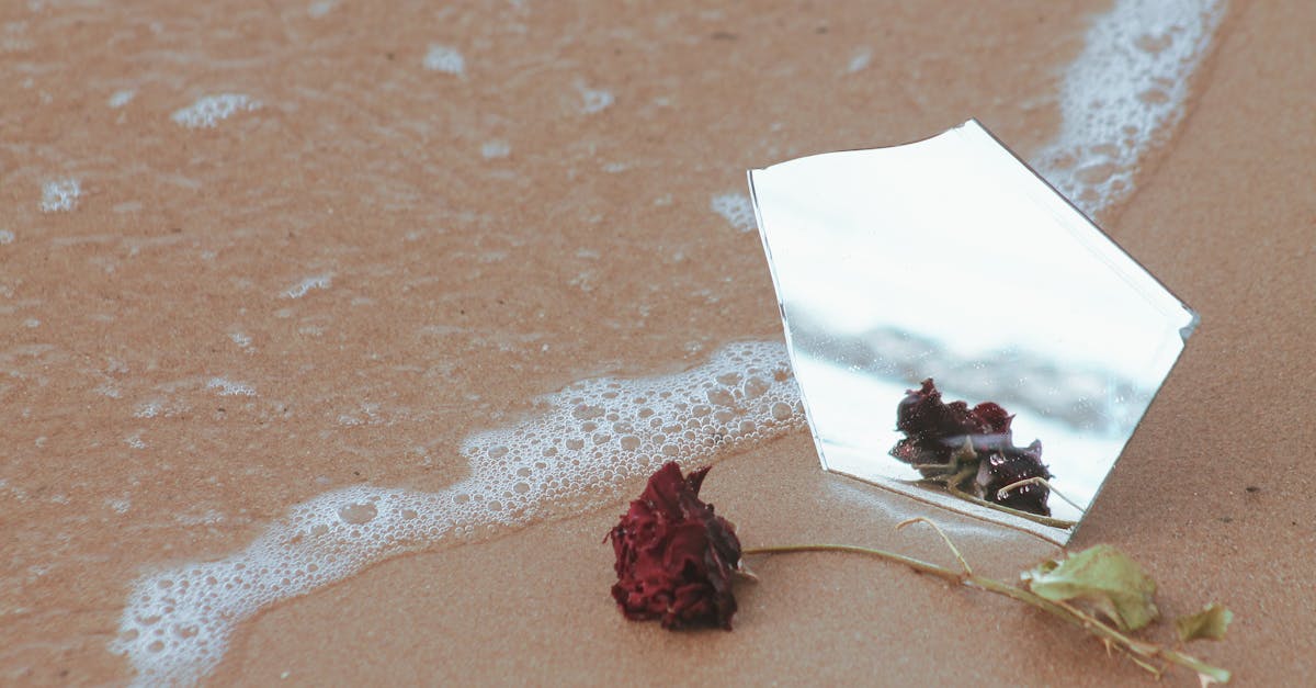 The Dark Side of Devotion: Unpacking the World of Conspiracy