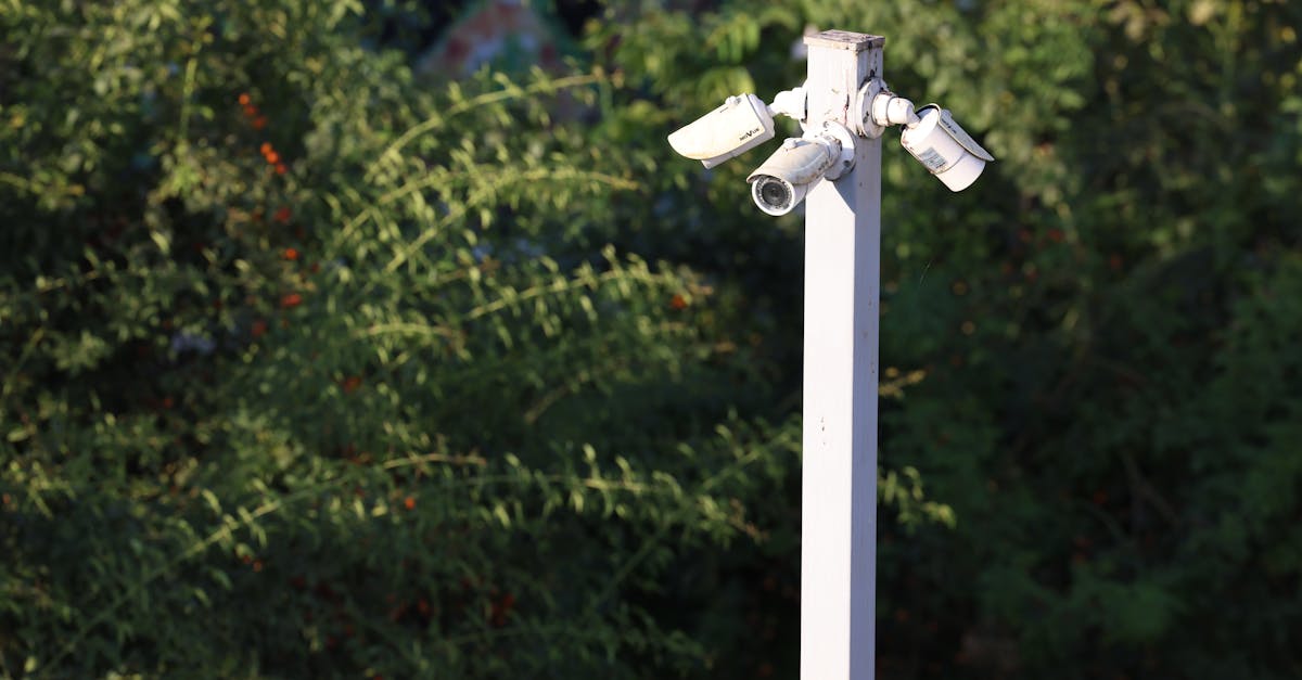 Inside the Surveillance State: Tech and Domestic Spying