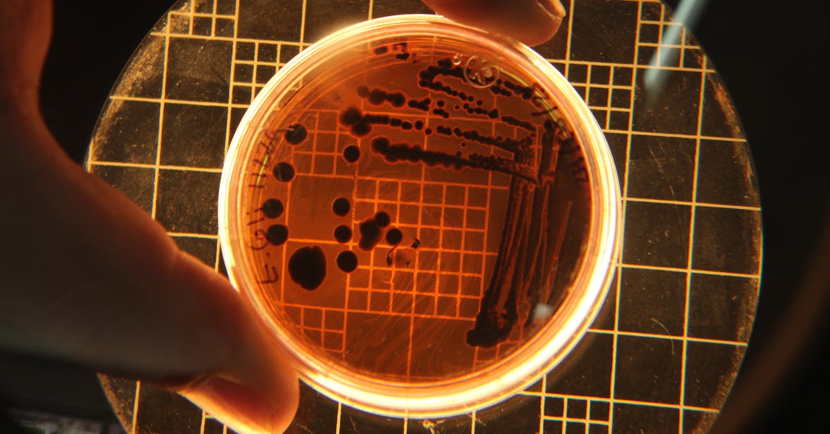 Bacteria, Coffee and Neanderthal Brains Upend Assumptions