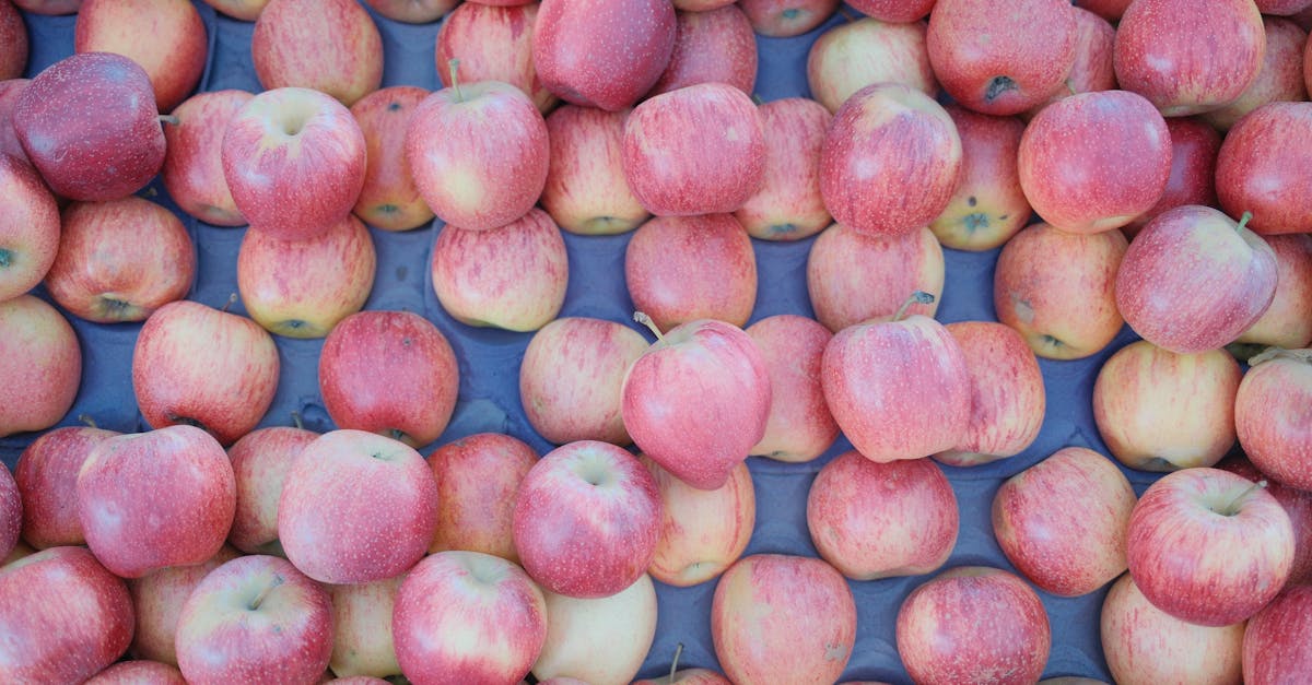 Apple's Record Sales Marred by Looming Chip Shortage