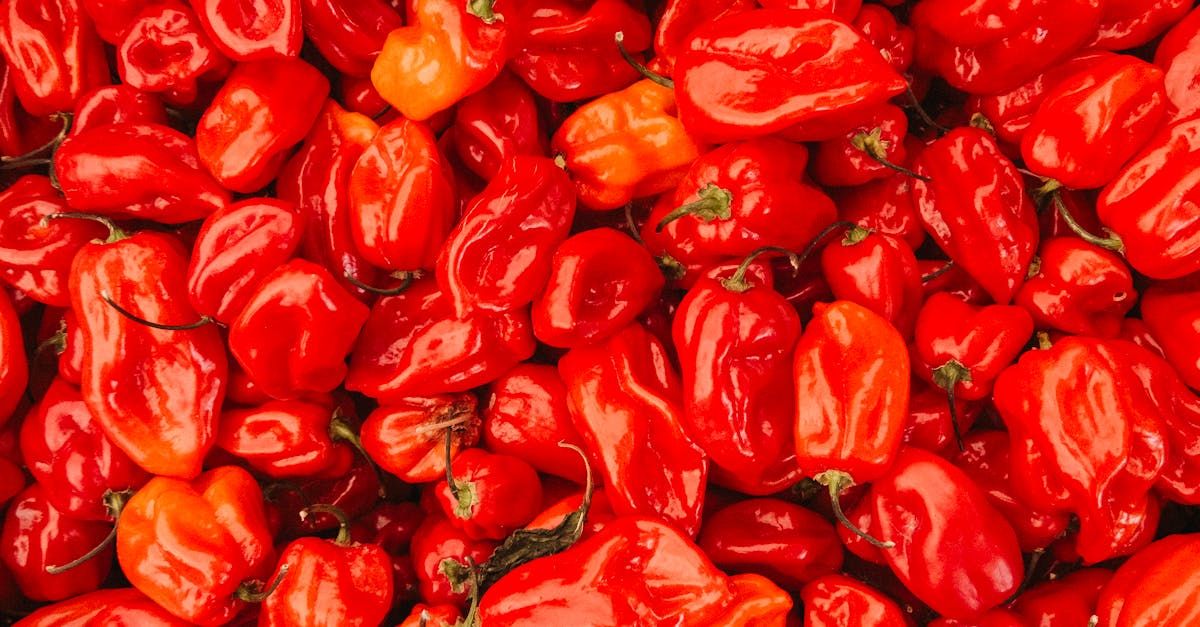 Venom and Hot Peppers Yield New Antibiotics