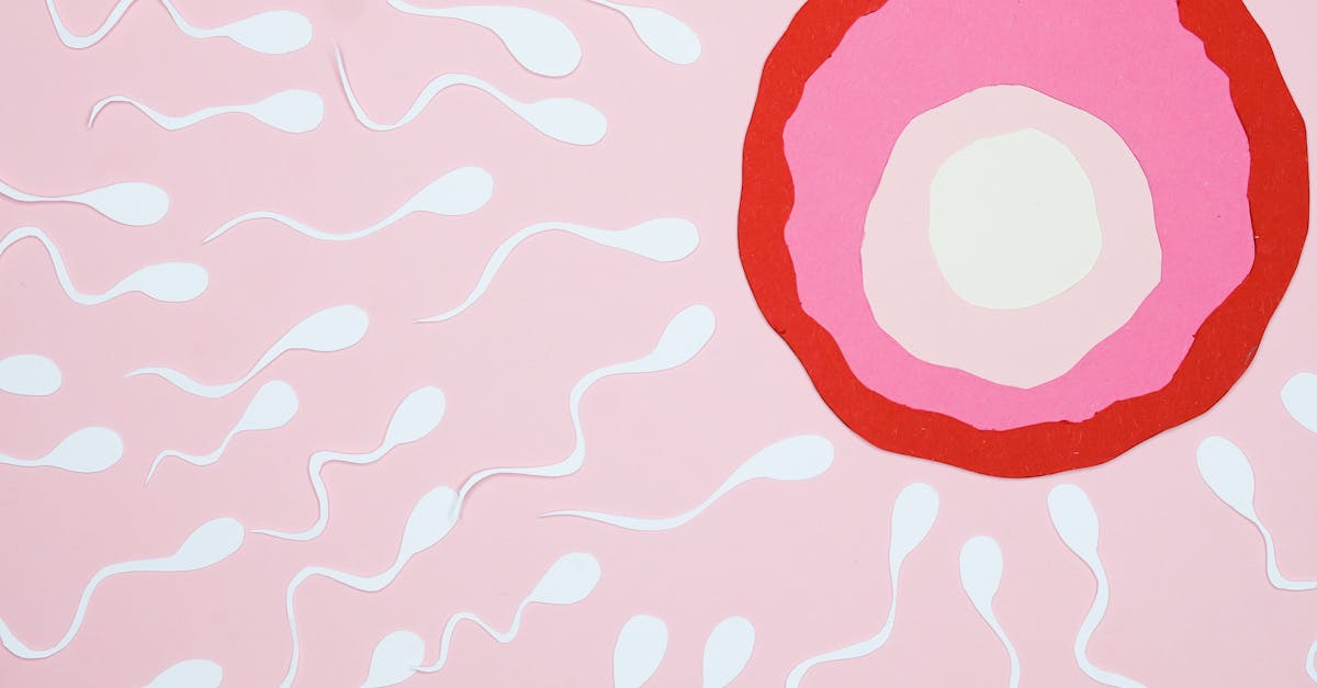 Paternal diet and sperm RNAs