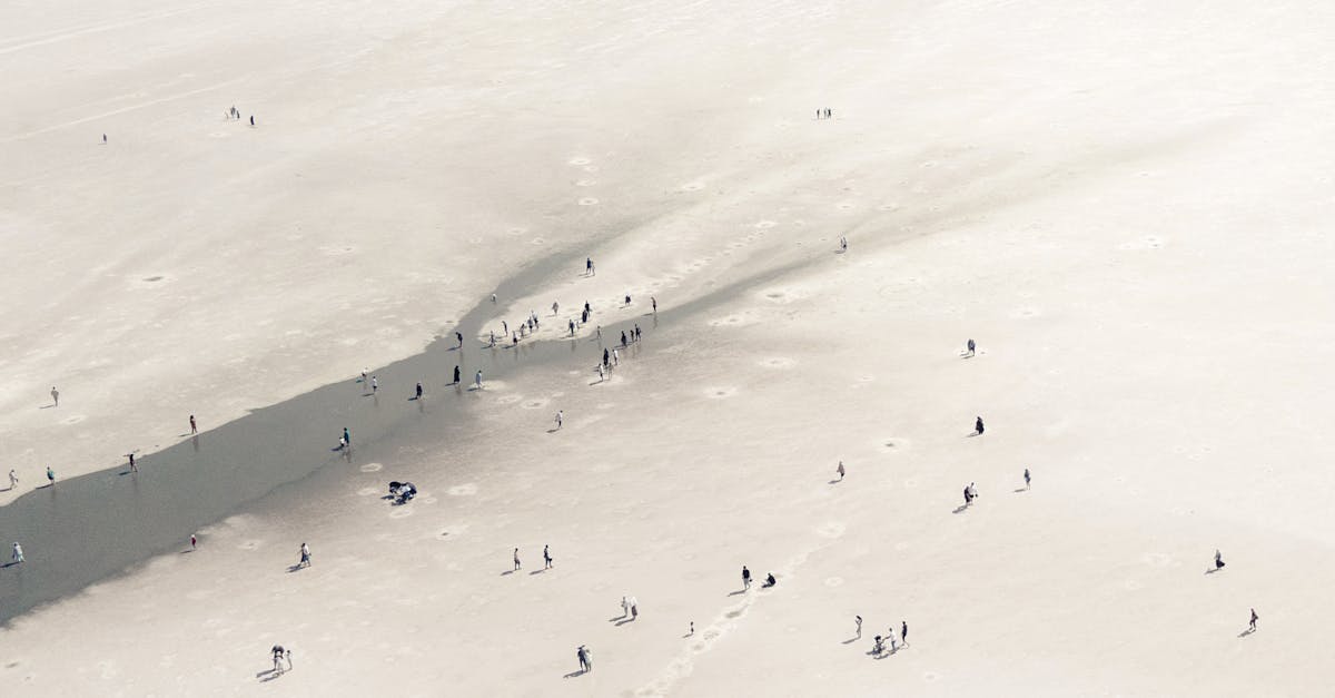 TracesOfHumanity Launches on Hacker News