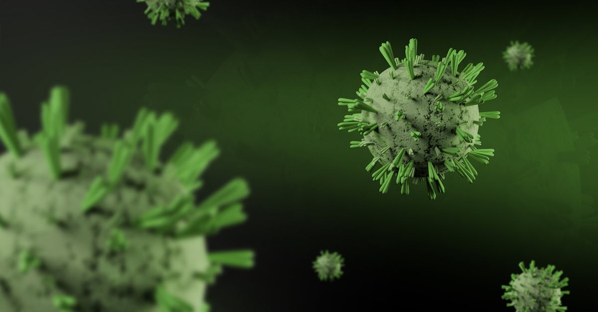 Hantavirus Misinformation Spreads Online