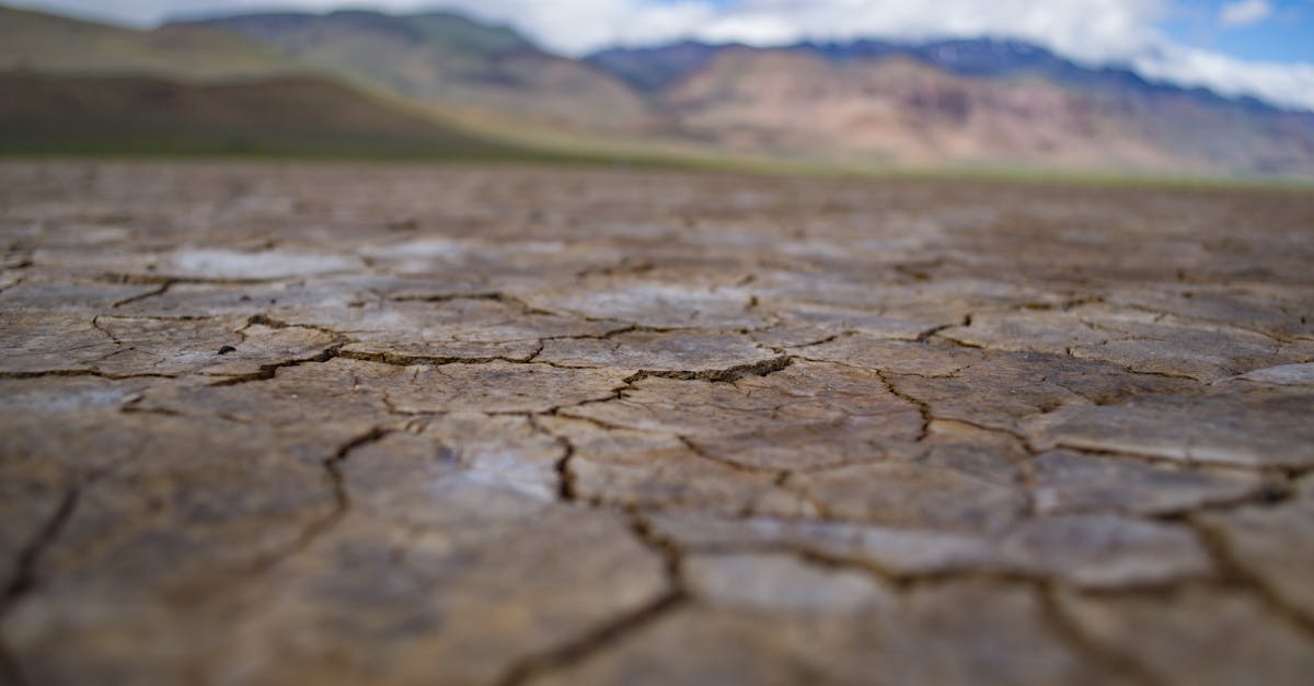 Climate Extremes, Tech Lobbying, and a Wheat Crisis Converge