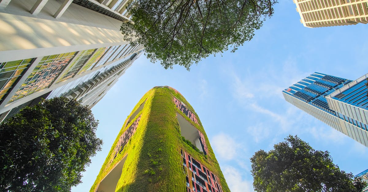 Sustainable Building