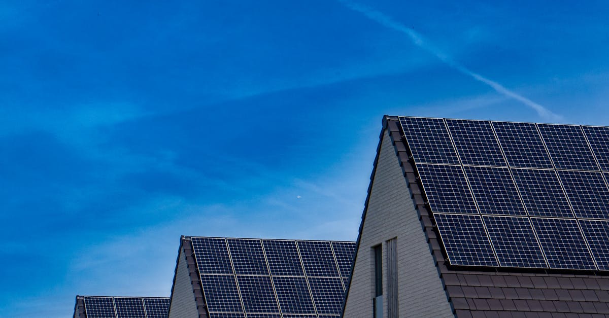 Solar Energy Lead