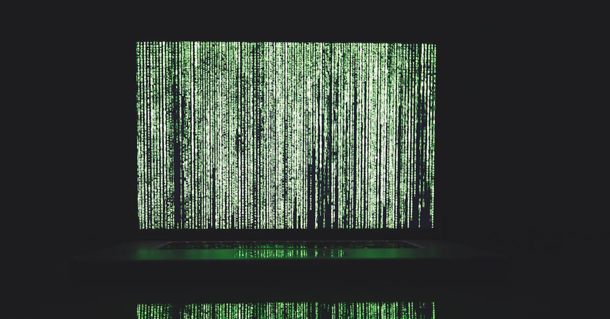 AI Startups Surge Amid Skepticism and Transition