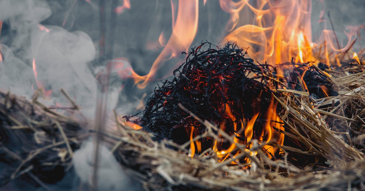 California's Wildfire Season Spirals Out of Control