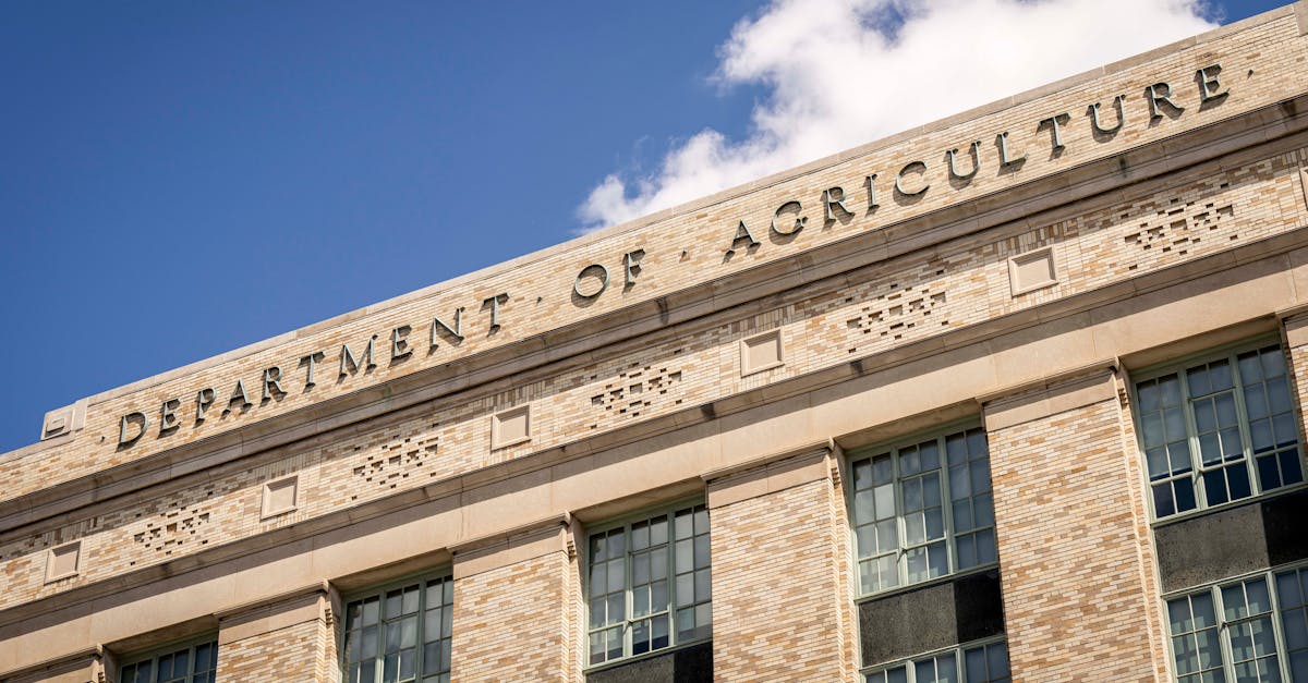 DOJ Purges Jan. 6 Defendant Releases