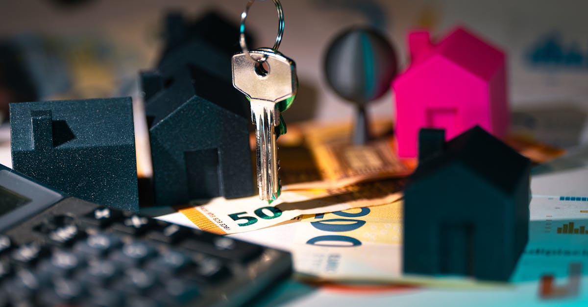 Cyera Seeks 80x ARR Multiple Amid Operating Losses