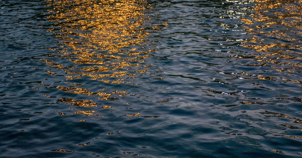 Google Aims to Replenish More Water Than Its AI Data Centers Use