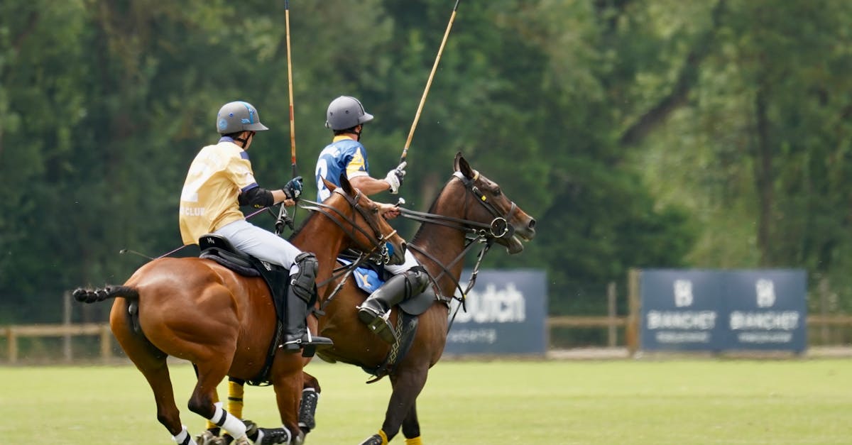 Cloned Polo Horses Dominate the Field