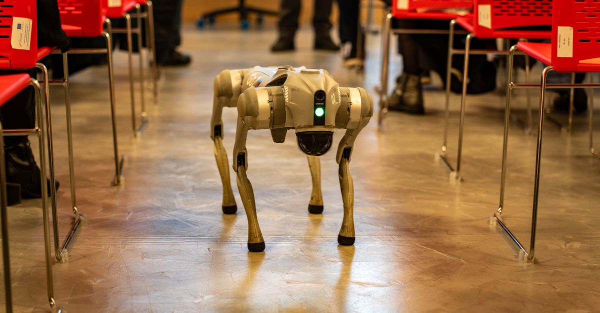 US Bans Foreign Humanoids