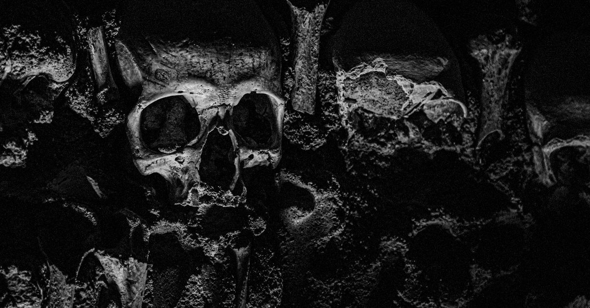 Ancient DNA reveals hidden lineages in Africa and Asia